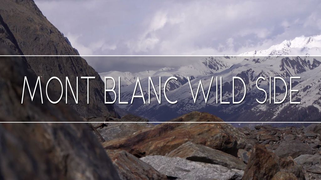 Mont Blanc Wild Side