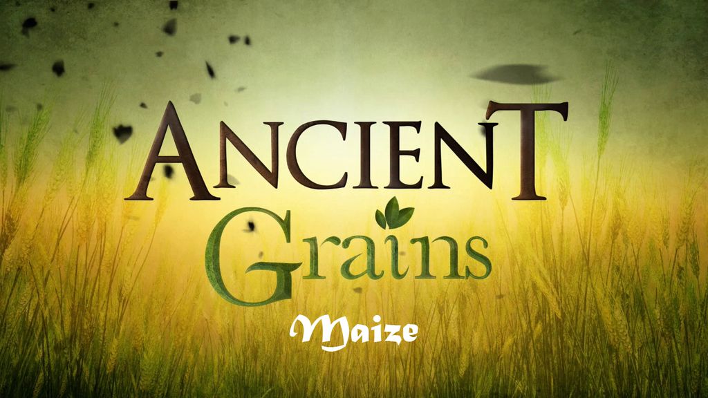 Ancient Grains - Maize