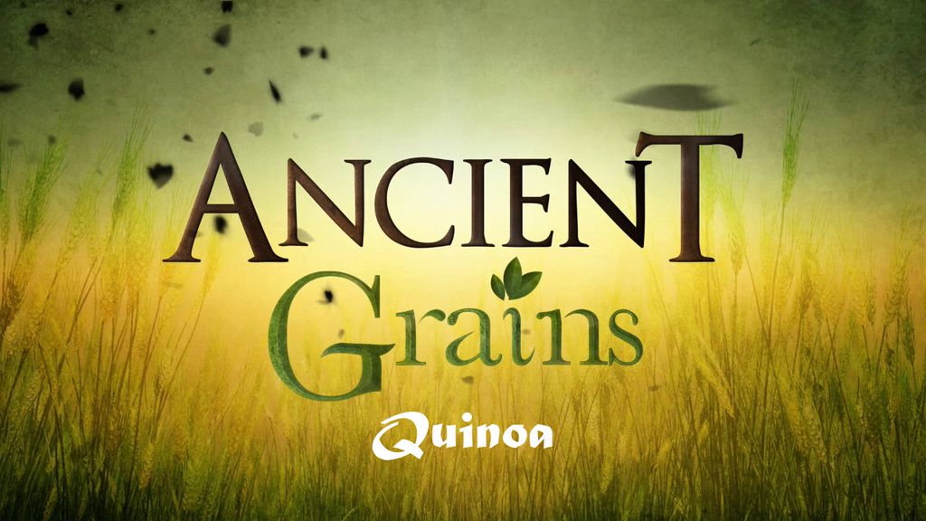 Ancient Grains - Quinoa