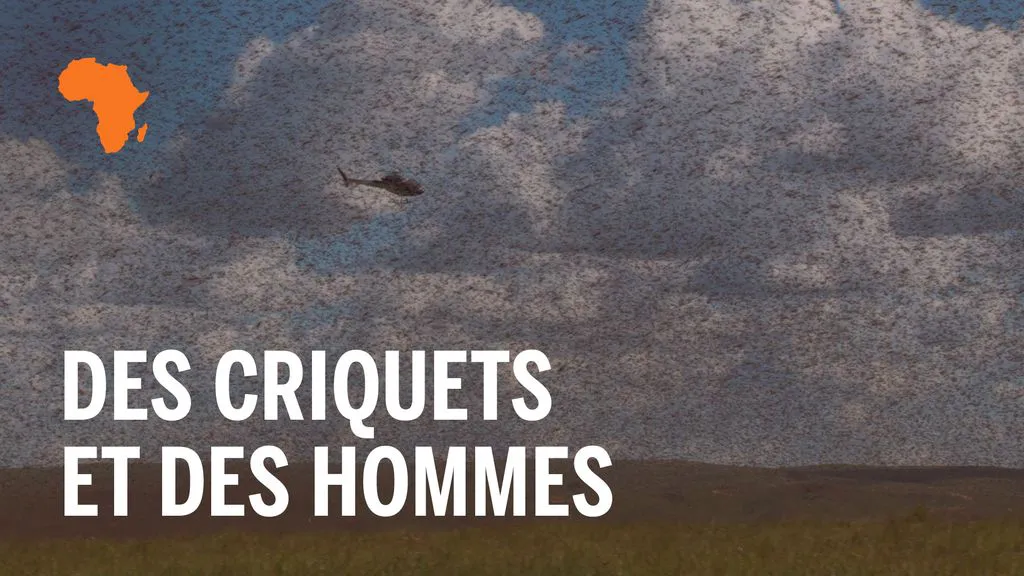 Des criquets et des hommes