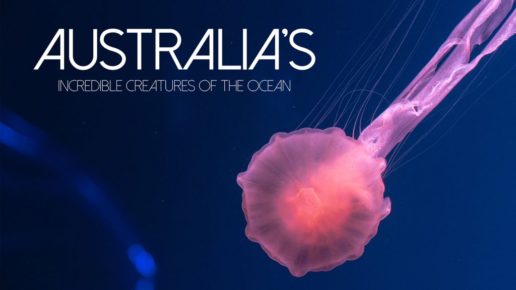 Australia's Incredible Creatures of the Ocean