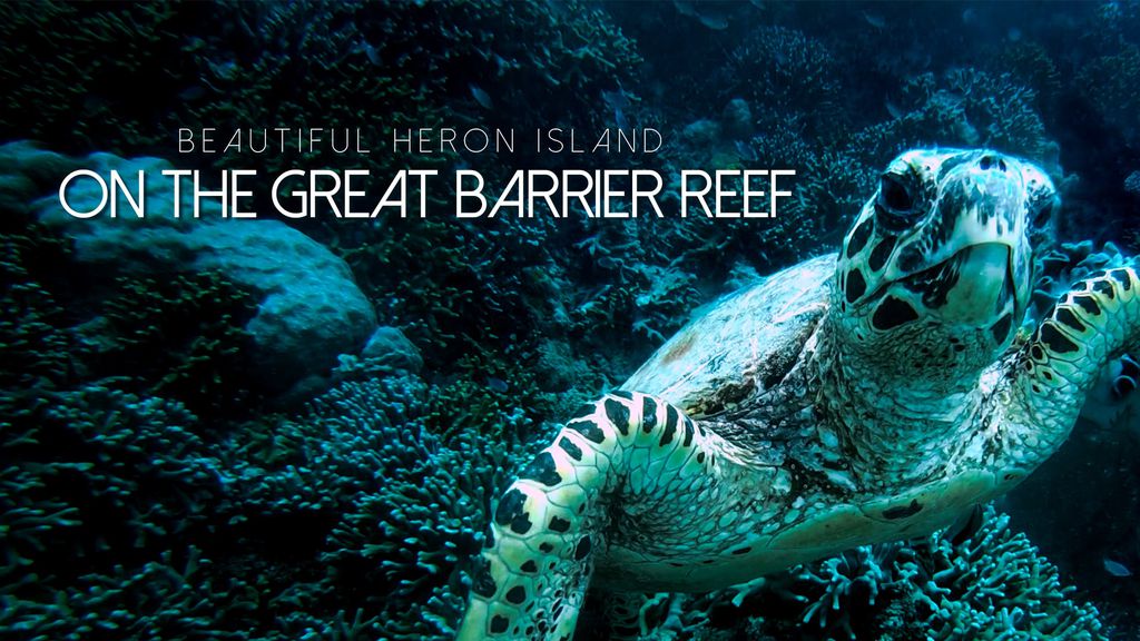 Beautiful Heron Island On The Great Barrier Reef