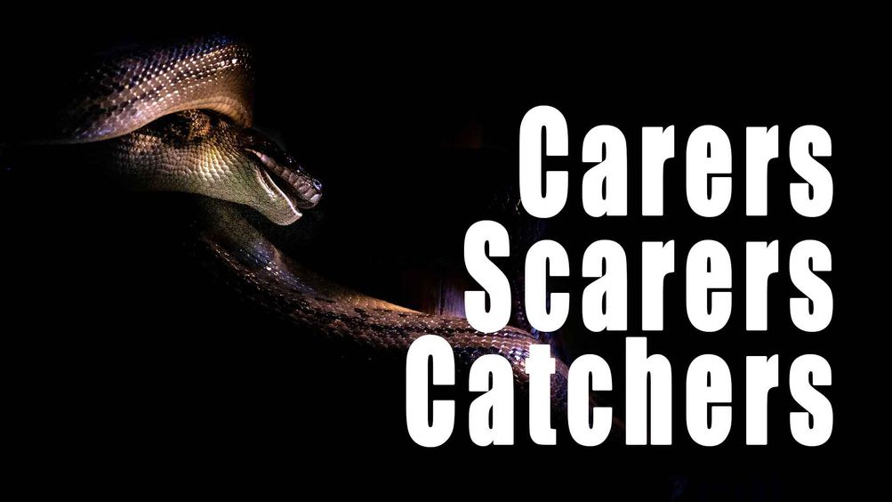 Carers, Scarers & Catchers