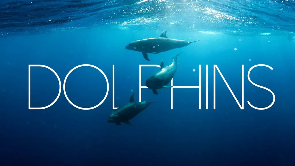 Dolphins