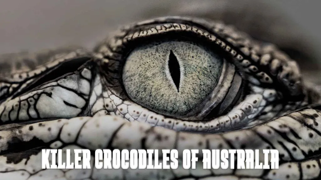 Killer Crocodiles of Australia