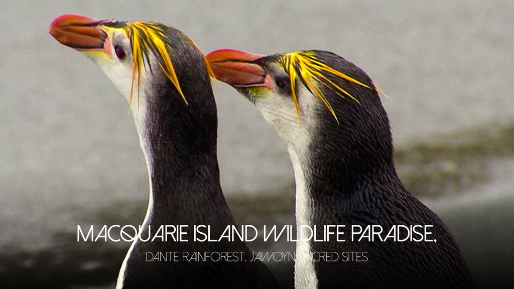 Macquarie Island Wildlife Paradise, Dante Rainforest, Jawoyn Sacred Sites