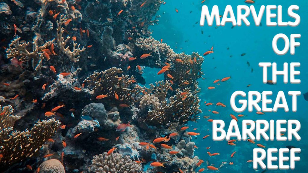 Marvels of the Great Barrier Reef