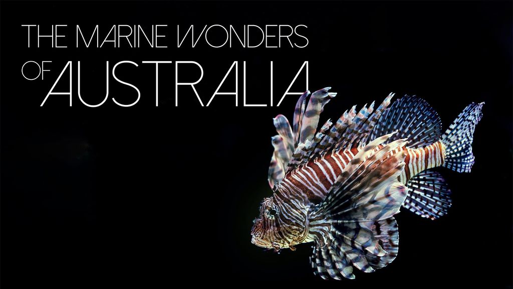 The Marine Wonders Of Australia