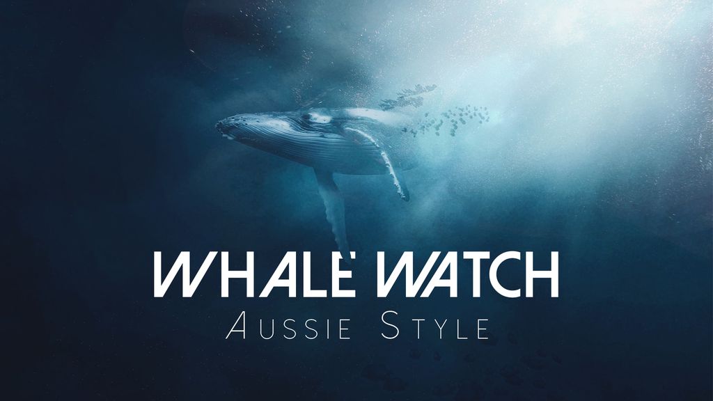 Whale Watch Aussie Style