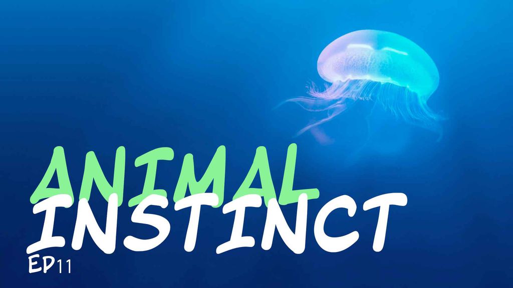 Animal Instinct - Episode 11