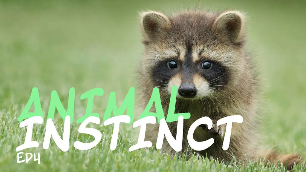 Animal Instinct - Episode 4
