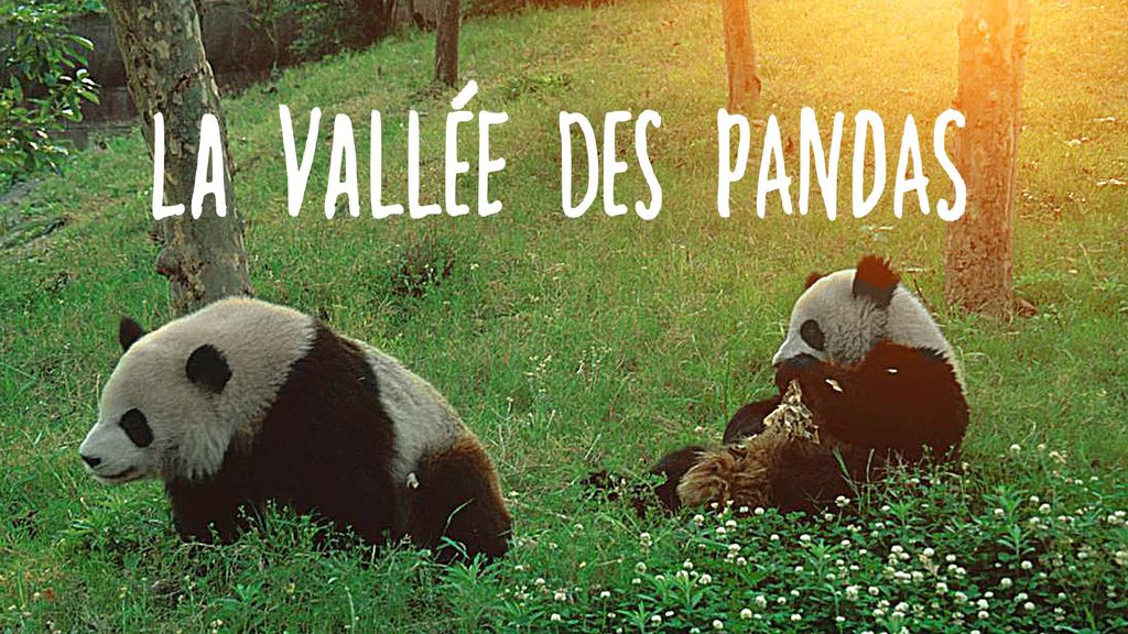 La vallée des pandas