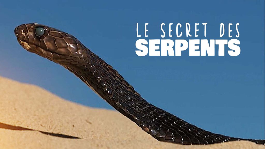 Les secrets des serpents