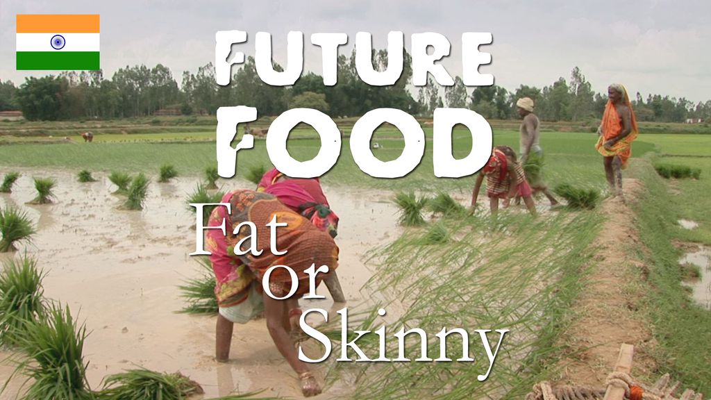 Future Food - India : Fat or Skinny