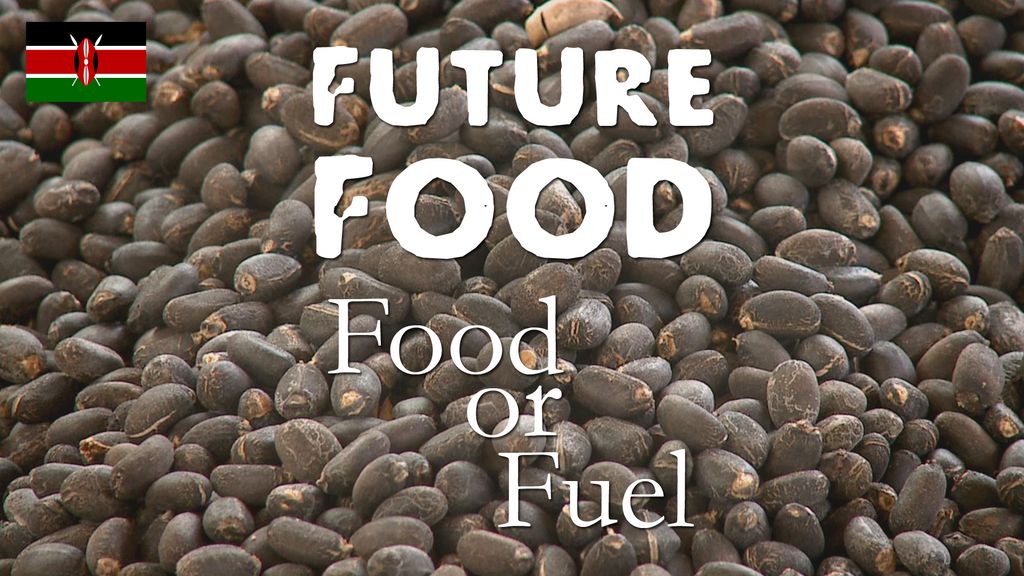 Future Food - Kenya : Food or Fuel