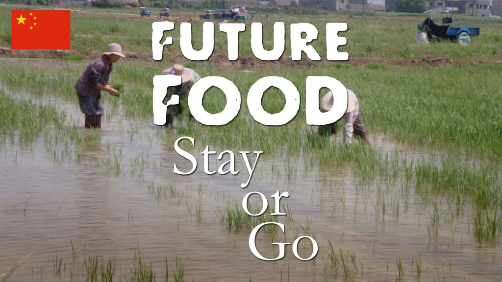 Future Food - China : Stay or Go