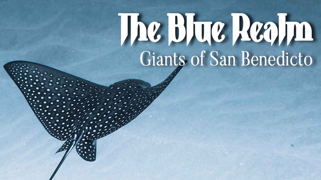 The Blue Realm - Giants of San Benedicto