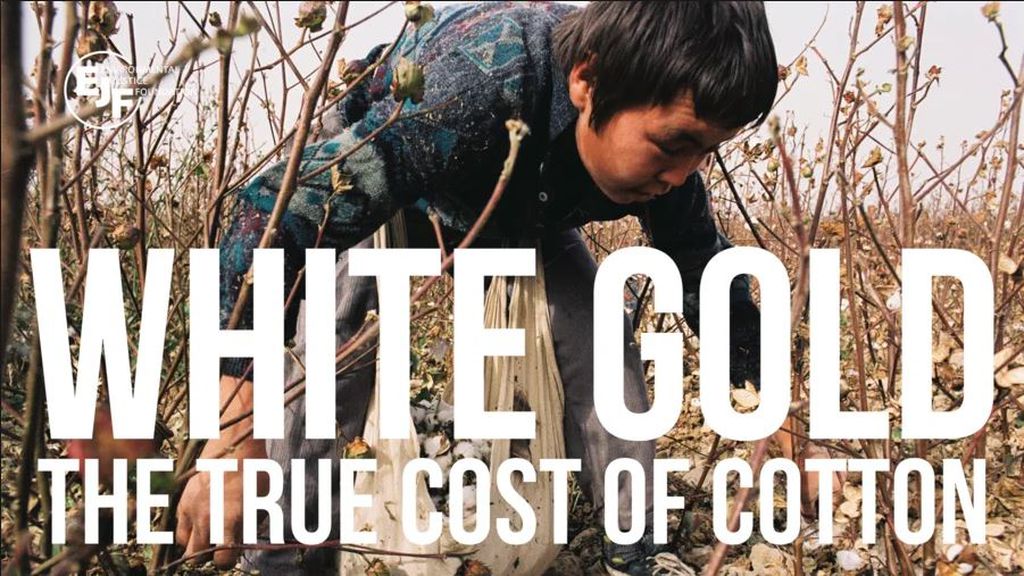 El coste del algodón