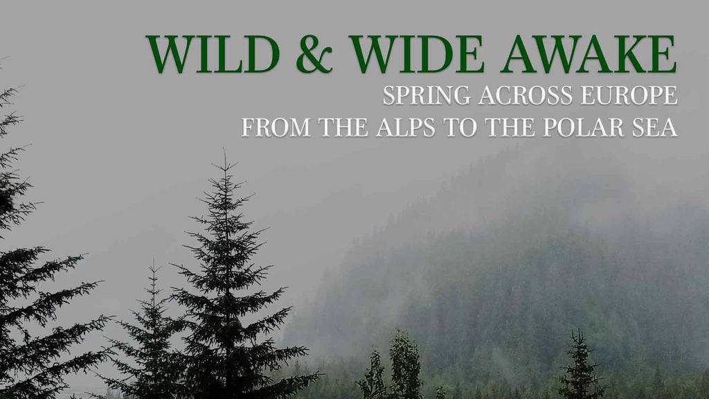 Wild & Wide awake - Spring across Europe - From the Alps to the Polar Sea