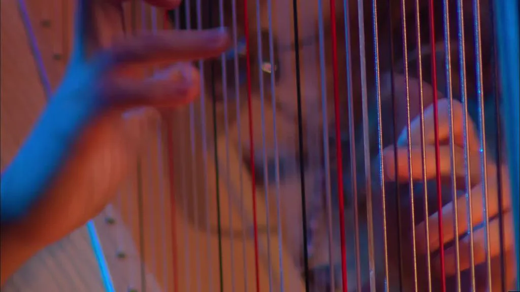 Joanna Newsom - Live 2005 - Bridges And Balloons