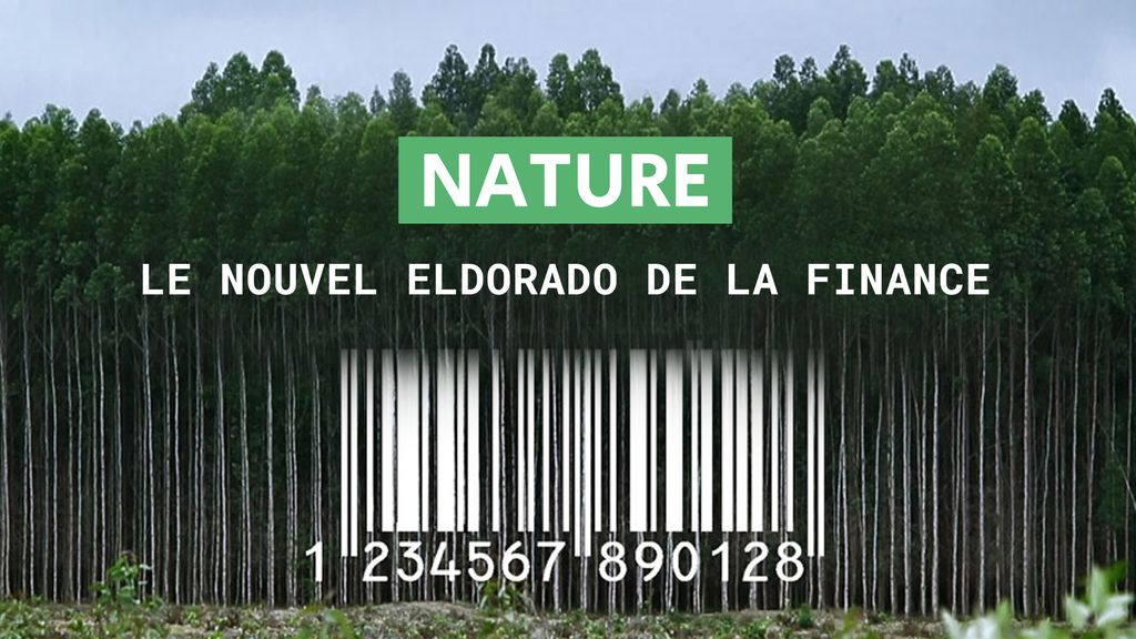 Nature, le nouvel Eldorado de la Finance