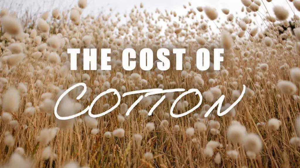 The Cost of Cotton