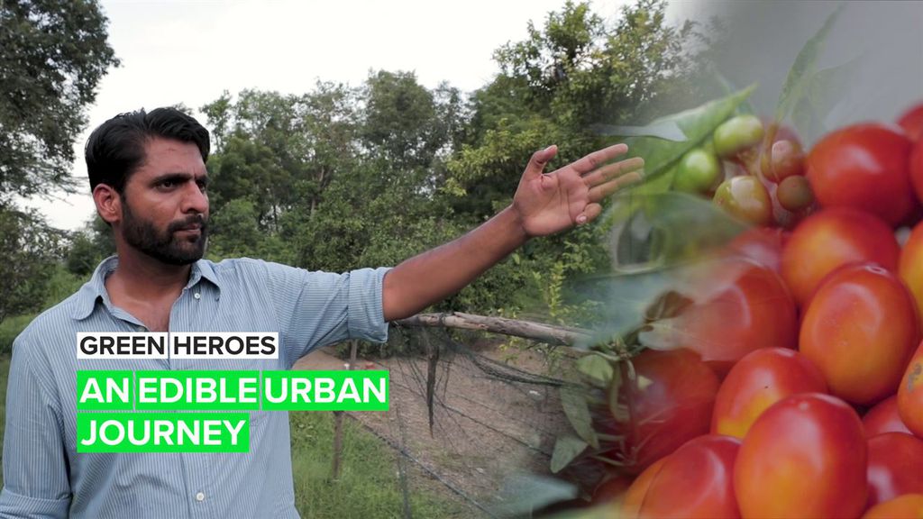 Green Heroes: The urban experience just got a sustainable upgrade
