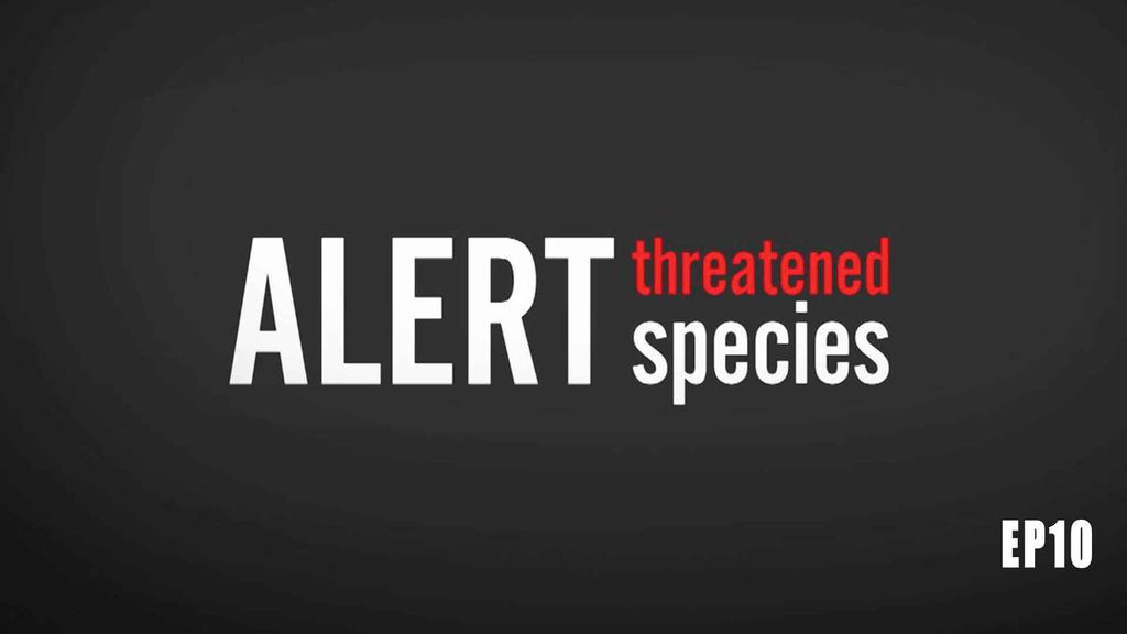 ALERT - Threatened species EP 10