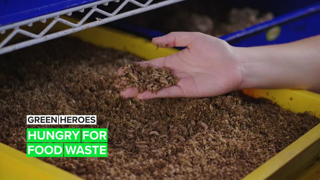 Green Heroes: Redefining the power of bugs