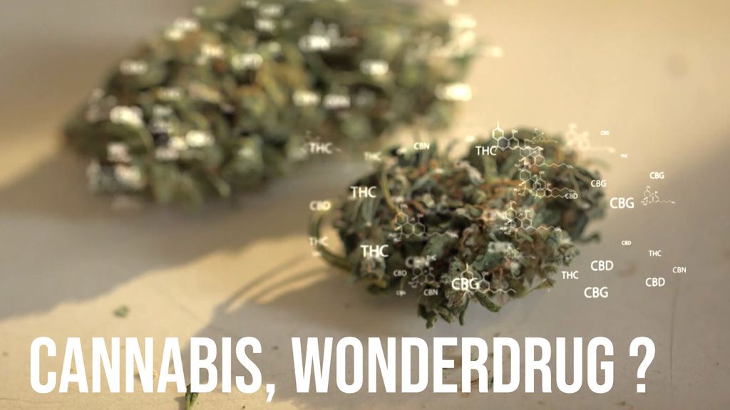 Cannabis, wonderdrug ? 