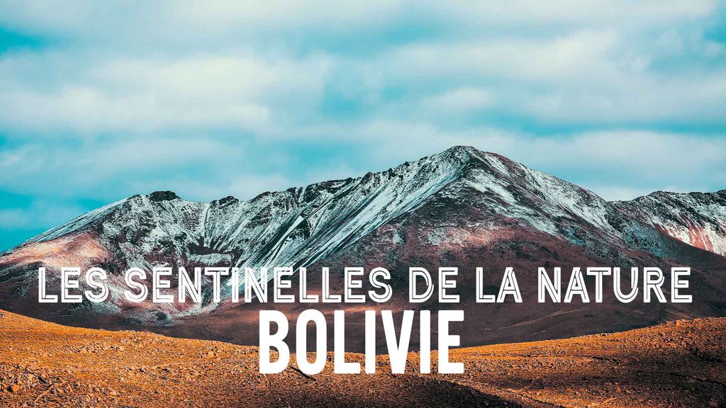Les sentinelles de la nature Bolivie