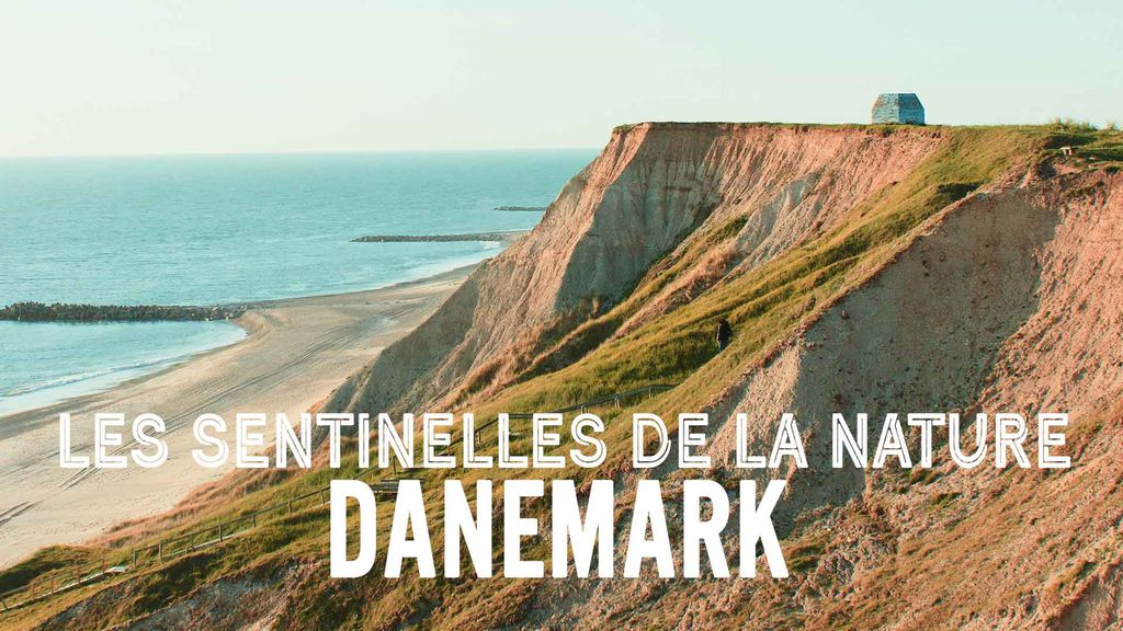 Les sentinelles de la nature Danemark