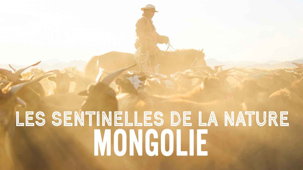 Les sentinelles de la nature Mongolie