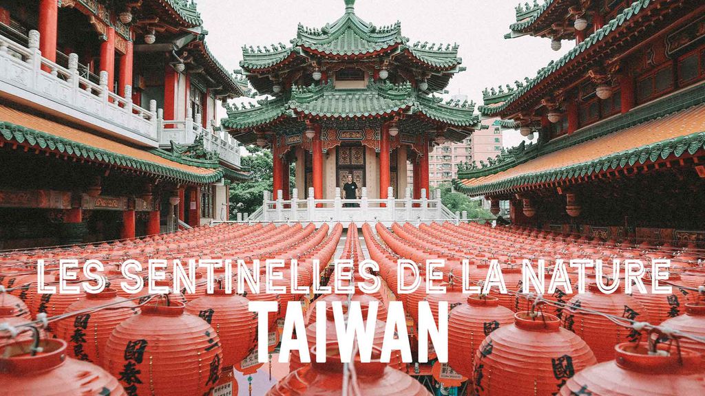 Les sentinelles de la nature Taiwan