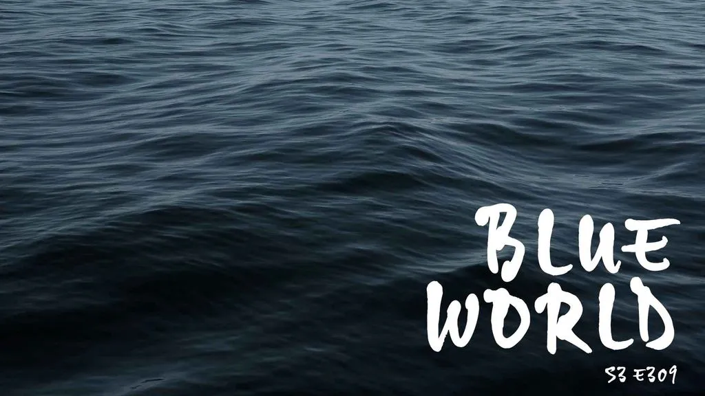 Blue World - Season 3, Episode 309