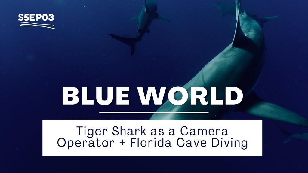 Blue World - Season 5 Episode 03 - Tiger Shark as a Camera Operator + Florida Cave Diving