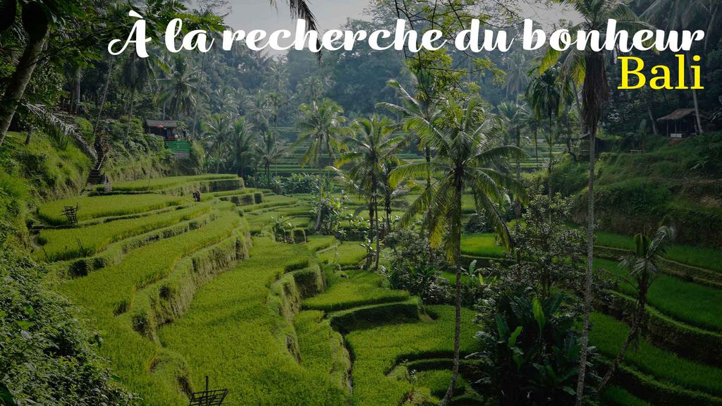 À la recherche du bonheur : Bali, escale sur l'île des dieux