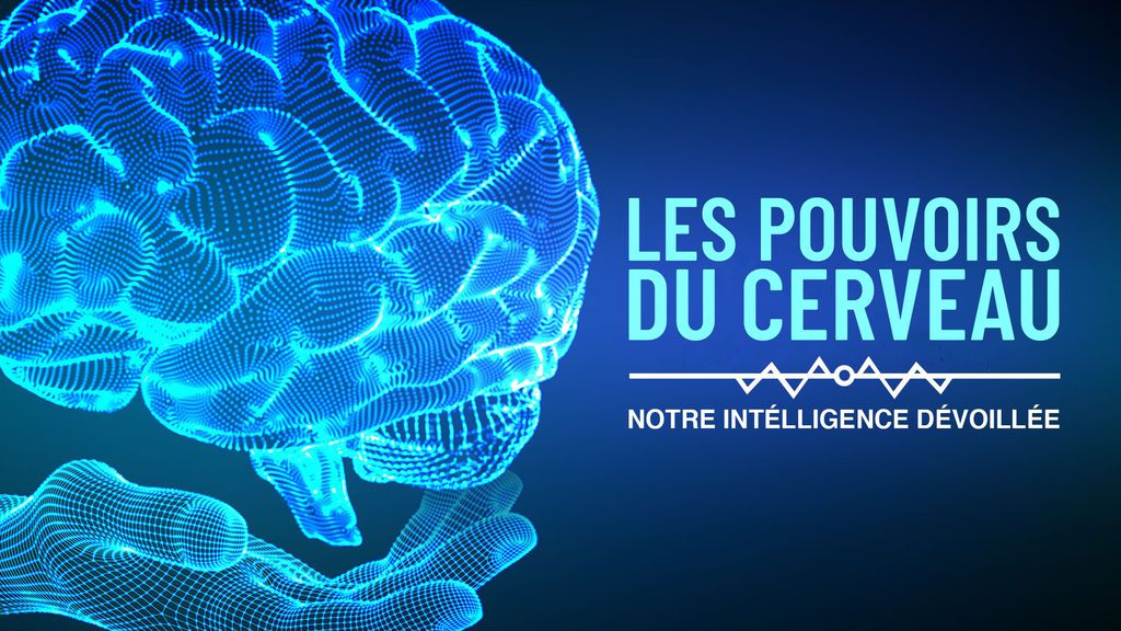 Les Pouvoirs Du Cerveau : Notre Intelligence Dévoilée