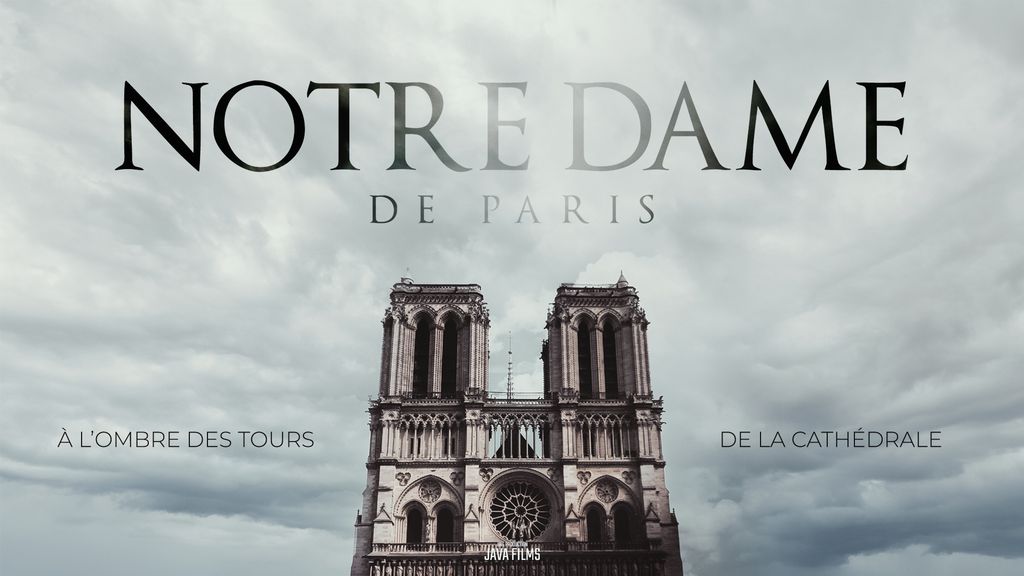 Notre Dame de Paris : à l'ombre des tours de la cathédrale