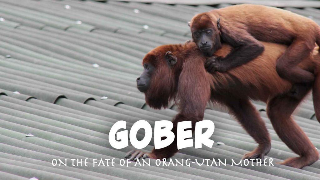 Gober - On the Fate of an Orang-Utan Mother