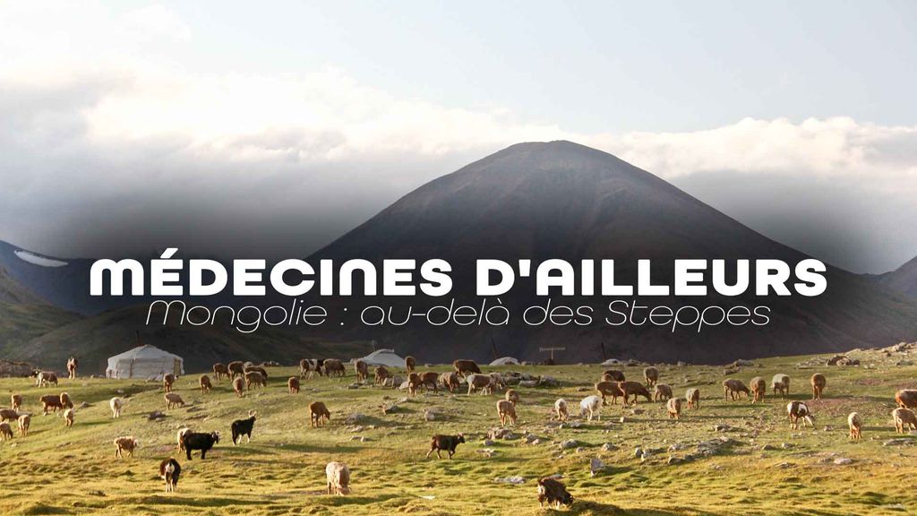 Médecines d'ailleurs - Mongolie : au-delà des Steppes