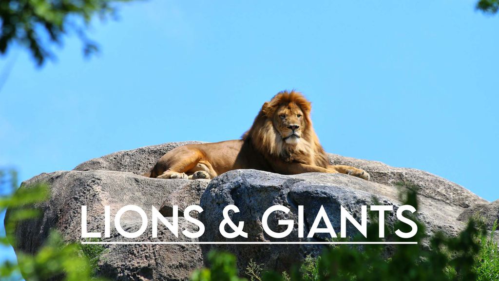 Lions & Giants
