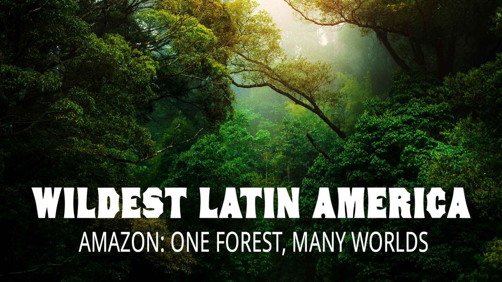 Wildest Latin America Episodio 1 - Amazon: One Forest, Many Worlds