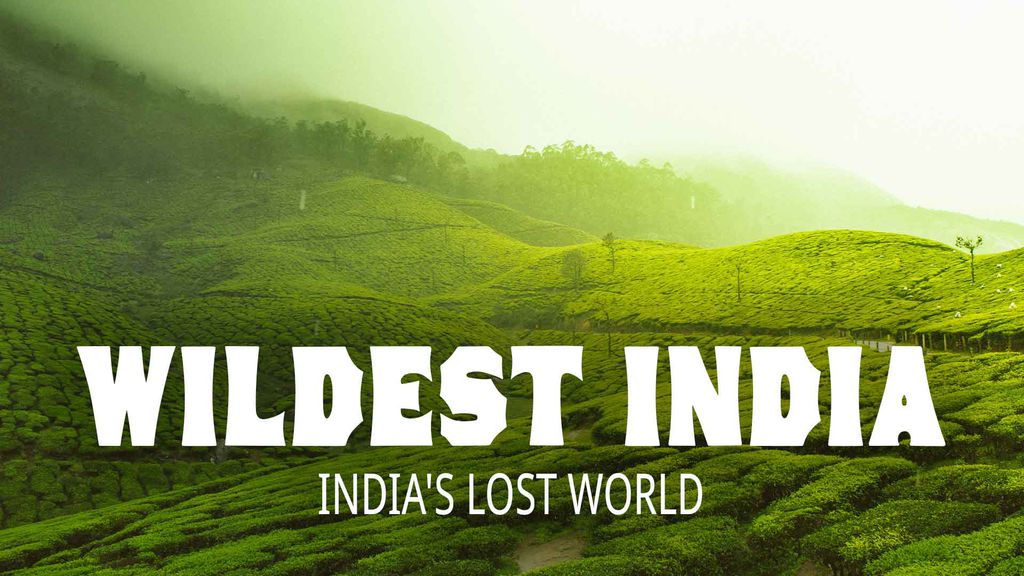 Wildest India - India's Lost World