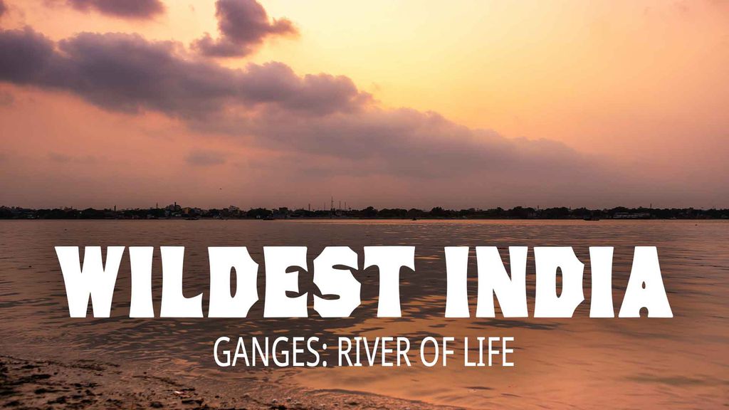 Wildest India - Ganges: River of Life