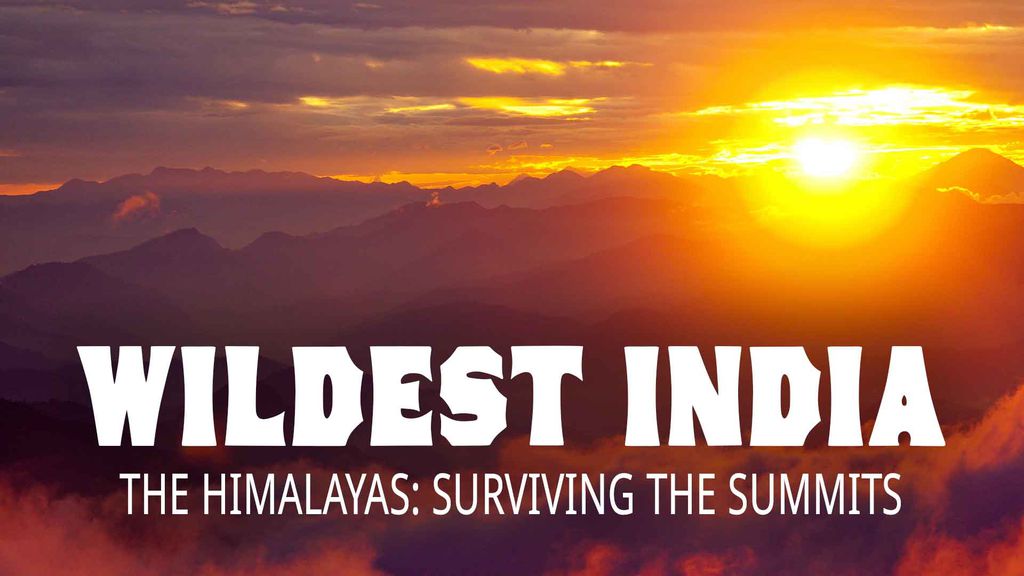 Wildest India - The Himalayas: Surviving the Summits