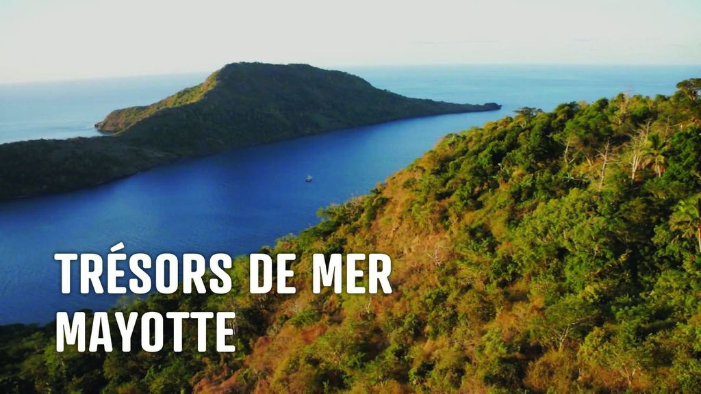 Trésors de Mer : Mayotte