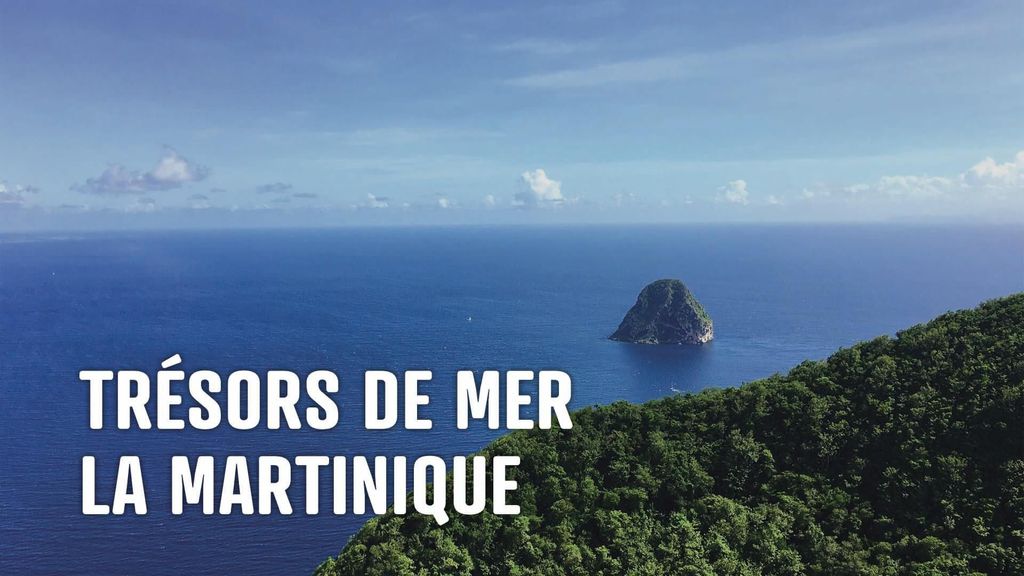 Trésors de Mer : la Martinique