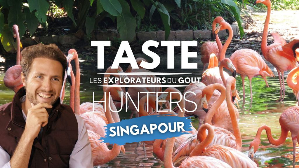 Les Explorateurs du Goût : Singapour