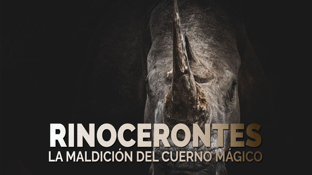 Rinocerontes : La Maldicion del Cuerno Magico